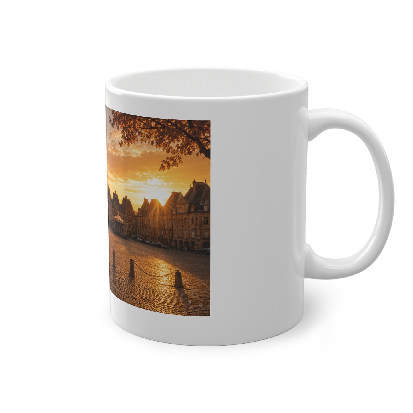 Mug Place Ducale (Charleville-Mézières) — Parade Sauvage