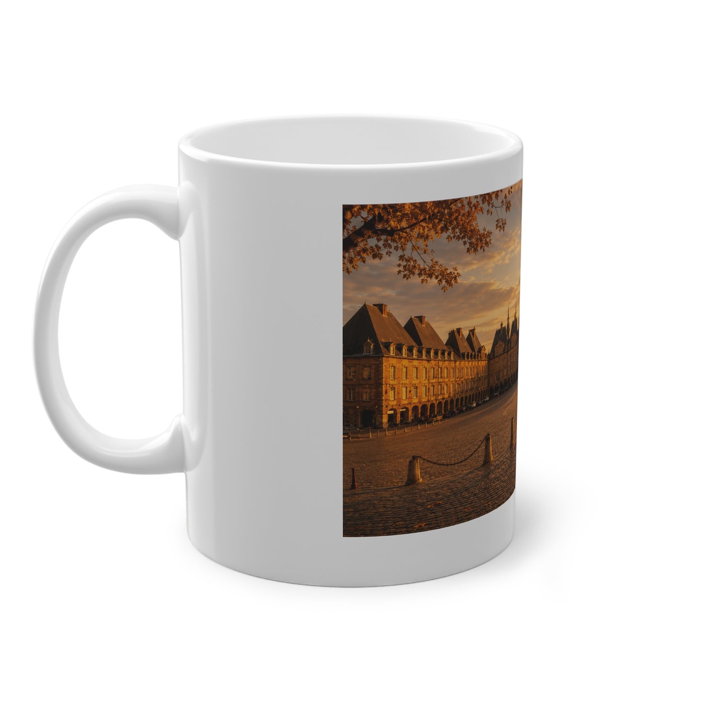 Mug Place Ducale (Charleville-Mézières) — Parade Sauvage